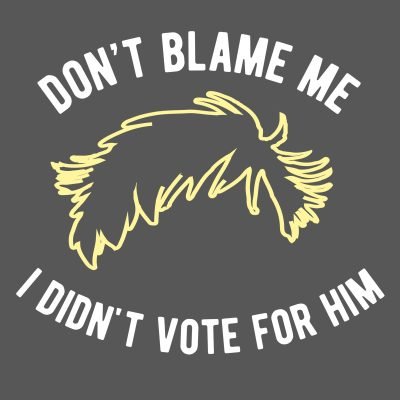 Don't blame me I didn't vote for him T-shirt Anthracite