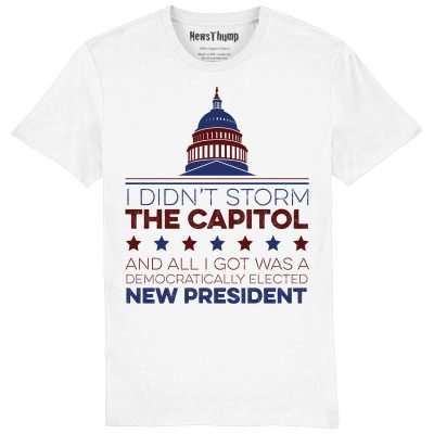 I didn't storm the capitol T-shirt