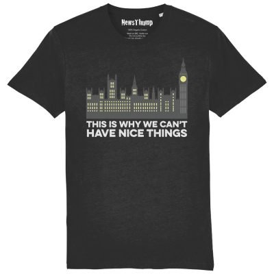 This is why we can't nice things T-shirt in black