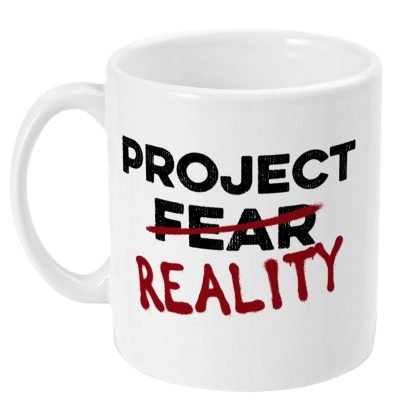 Project Reality Mug