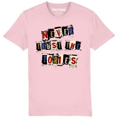 Never Trust the Tories T-shirt Cotton Pink