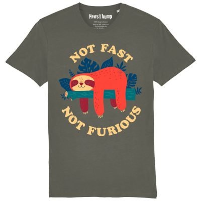Not Fast Not Furious Sloth T-shirt Khaki