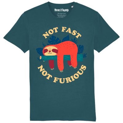 Not Fast Not Furious Sloth T-shirt Stargazer