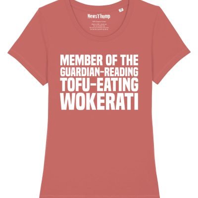 Guardian-reading Tofu-eating Wokerati women's T-shirt rose clay