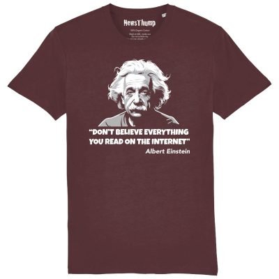 Don't believe everything you read on the Internet Albert Einstein quote T-shirt Burgundy
