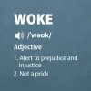 Woke Definition T-shirt