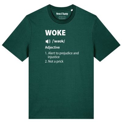 Woke Definition T-shirt