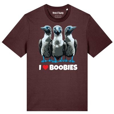 I love Boobies T-shirt