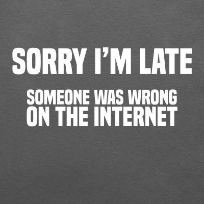 Sorry I'm late someone was wrong on the Internet T-shirt