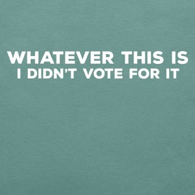 Whatever this Is, I didn't vote for it - T-Shirt